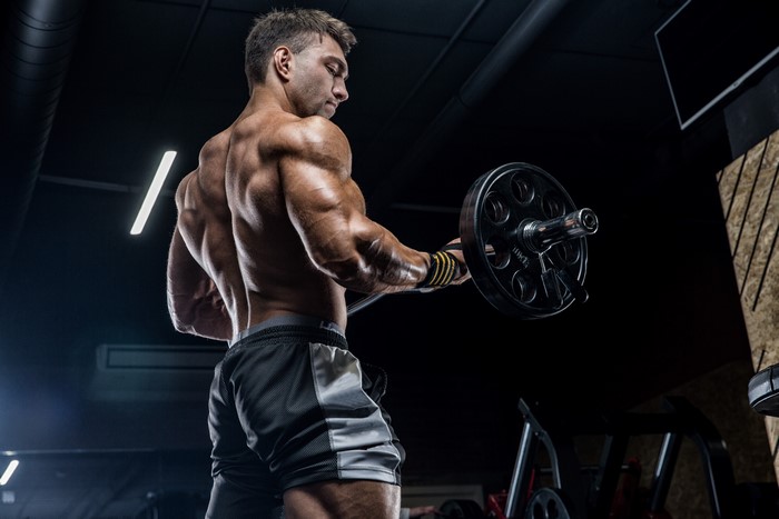 875524 4K, 5K, Men, Barbell, Muscle, Gym, Workout, Human back - Rare Gallery HD Wallpapers